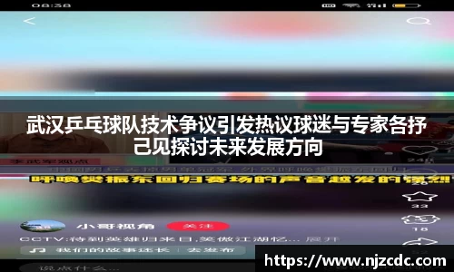 武汉乒乓球队技术争议引发热议球迷与专家各抒己见探讨未来发展方向
